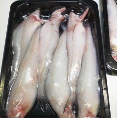 东海龙头鱼500g零下60℃真空包装