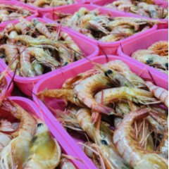 东海红虾零下60℃真空包装