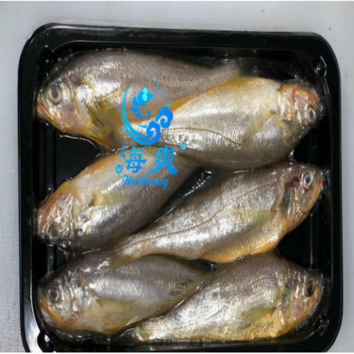 东海小黄鱼200-250g零下60℃贴体包装