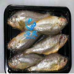 东海小黄鱼200-250g零下60℃贴体包装